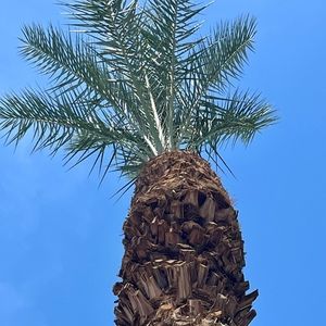 Meet your Posher, Vicki